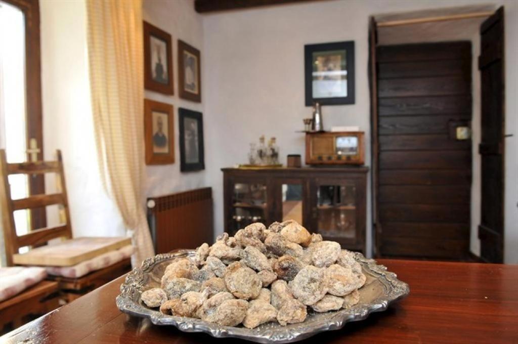 Willa Rilović House Srednji Radovcici Zewnętrze zdjęcie